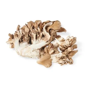 Buy Maitake Mushroom-1kg
