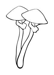 bestpsychworld.com