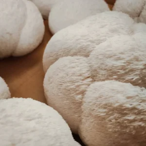 Buy Fresh Lion’s Mane – 1kg