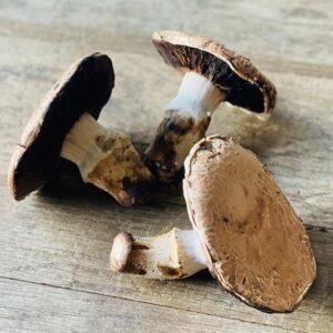 Buy Fresh Portabella Mushroom-1kg