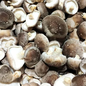 Buy Fresh Shiitake Mushrooms – 1kg