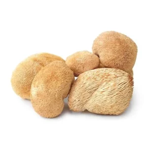 Dried Mushrooms For Sale
