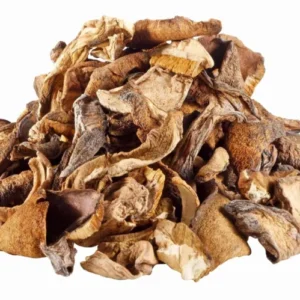 Dried Porcini Mushrooms 1 KG