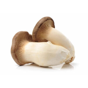 Buy King Oyster Mushrooms – 1kg